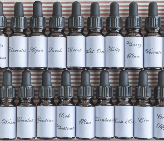 【covid19疫苗是哪一种疫苗/covid19疫苗种类】 【covid19疫苗是哪一种疫苗/covid19疫苗种类】