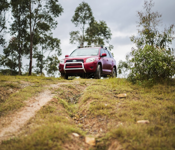 沈阳市疾控中心紧急提示:沈阳市疾控中心紧急提示电话