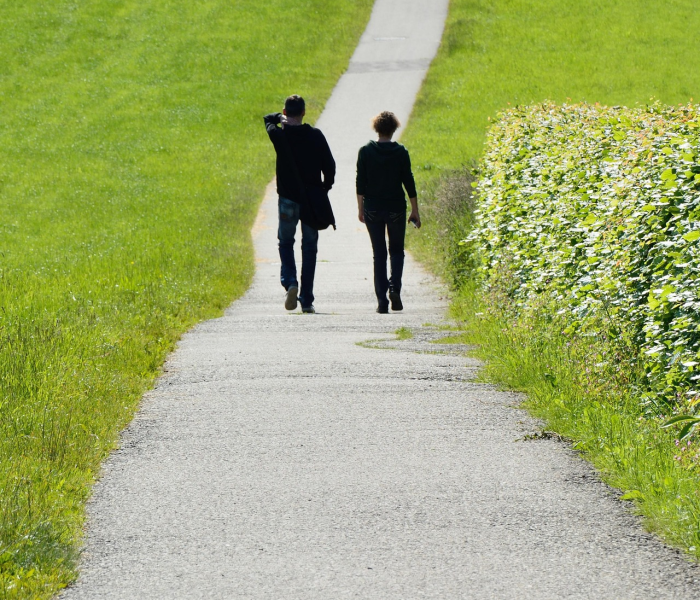 一分钟了解“怎么开炸 金花创建好友房”房卡获取方式