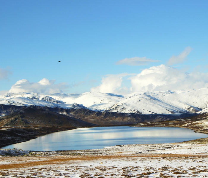 【疆内游客何时离开伊犁/伊犁游客什么时候可以离开】