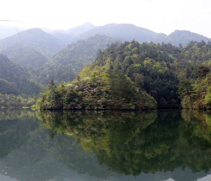 安徽疫情的源头到底是什么/安徽疫情来自哪里 安徽疫情的源头到底是什么/安徽疫情来自哪里