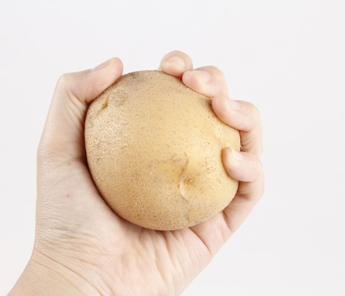 碳疽怎么治疗/碳疽病的治疗方法 碳疽怎么治疗/碳疽病的治疗方法