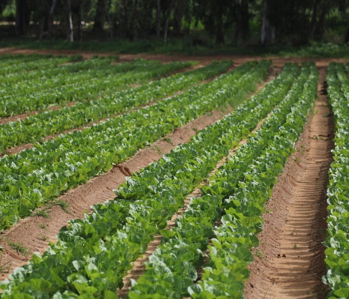 秒懂百科“微信群炸 金花如何创建房间”详细房卡怎么购买教程 秒懂百科“微信群炸 金花如何创建房间”详细房卡怎么购买教程
