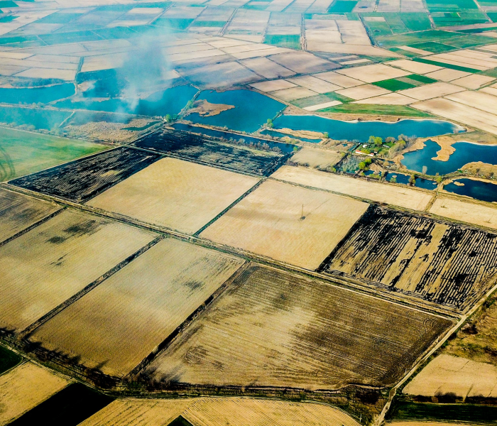 【2021年清明节是几月几日日,2021年清明节是哪月哪日】