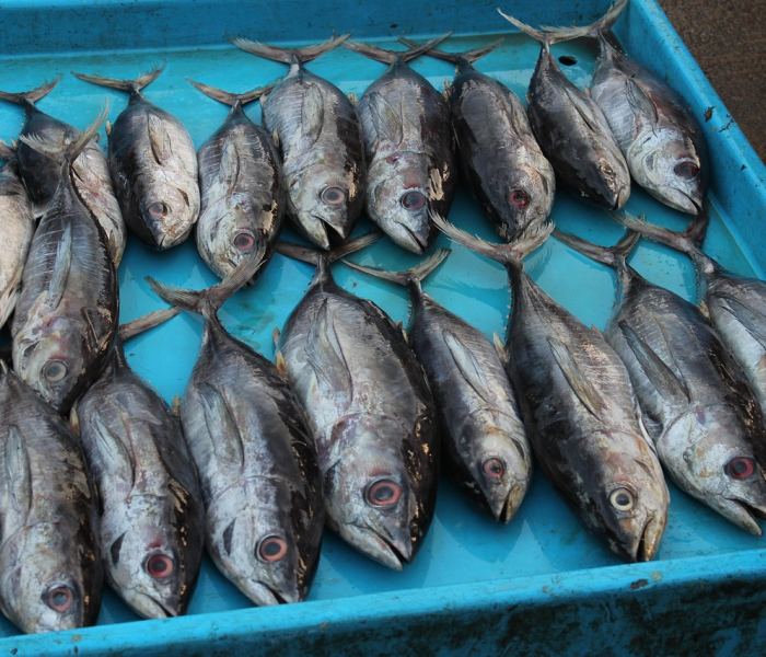 北京海鲜市场疫情/北京海鲜市场疫情是什么时候发现的