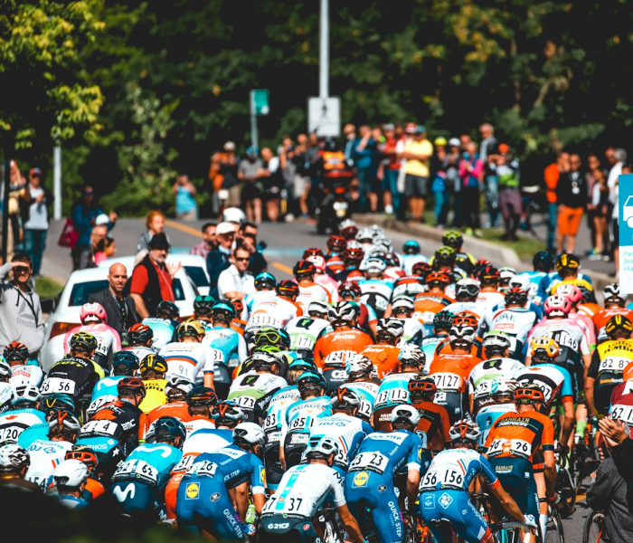 山东疫情数据报告/山东疫情实时动态数据