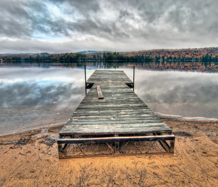 山东疫情数据报告/山东疫情实时动态数据