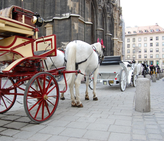 上海婚庆租车费用如何算/上海婚庆用车平台 上海婚庆租车费用如何算/上海婚庆用车平台