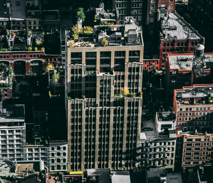 上海疫情有多少/上海疫情多少年