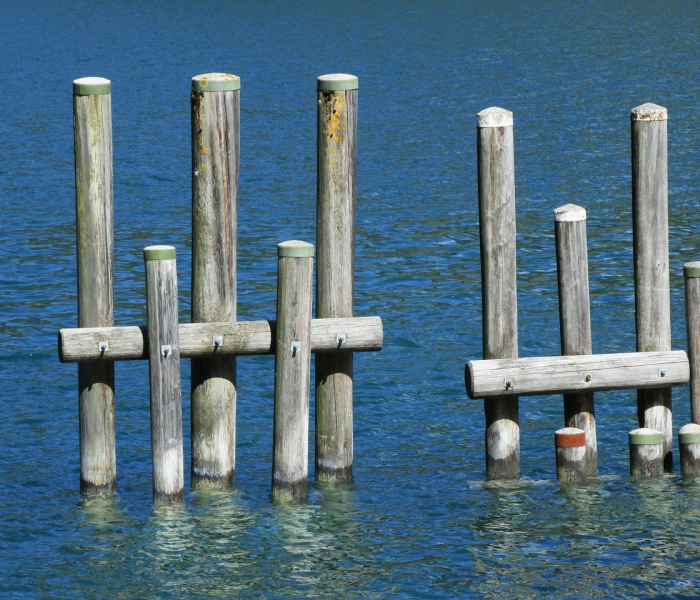 马科纳三角洲病毒（马科纳三角洲在哪里）