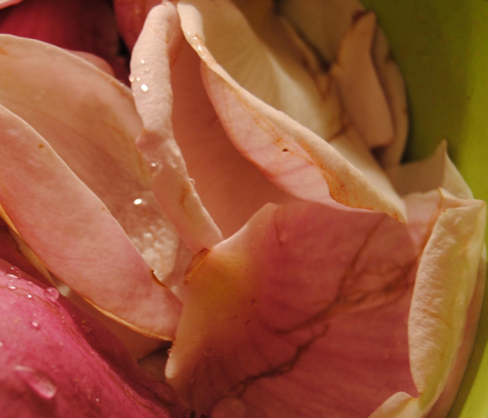 【有多少人因新冠肺炎死亡/有多少人因新冠肺炎死亡的】