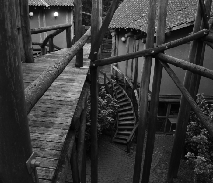 河北疫情感染者85.5%来自农村/河北疫情感染了多少人 河北疫情感染者85.5%来自农村/河北疫情感染了多少人