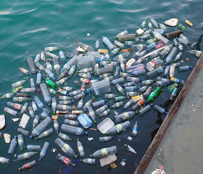 埃博拉最新消息2024:埃博拉最新消息2024年