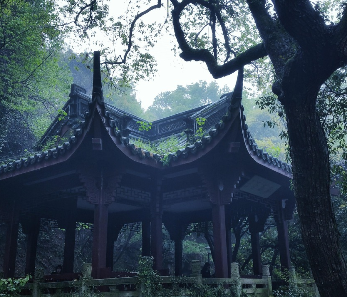 河北23日确诊病例情况/1月23日河北确诊病例行动轨迹