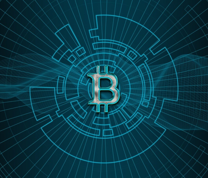 文旅绿码是什么:文旅是什么颜色