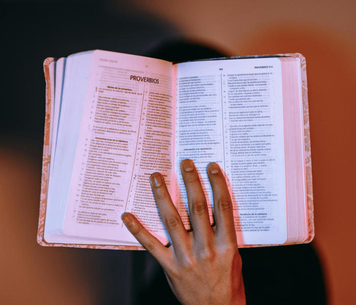 美国确诊超4万例是真的吗/美国累计确诊超400万 美国确诊超4万例是真的吗/美国累计确诊超400万