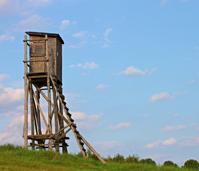 雷神岛任务线(雷神岛稀有位置) 雷神岛任务线(雷神岛稀有位置)