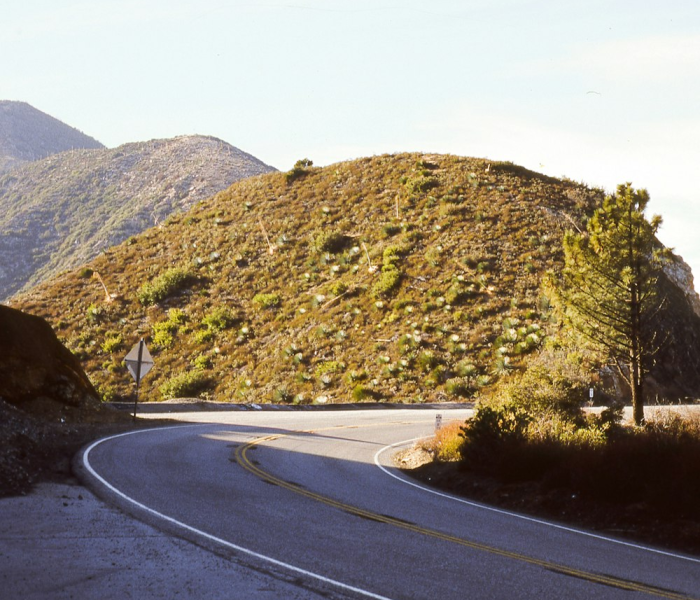 【清明高速路免费吗广西,广西清明高速免费几天2021】