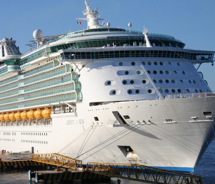 日本邮轮再增65例确诊（日本邮轮确诊新型冠状病毒）