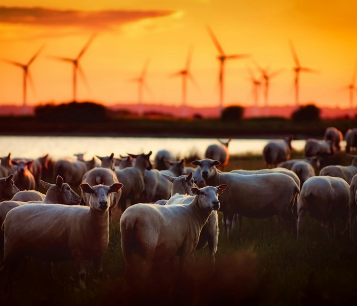 宁晋县疫情最新情况今天/宁晋县疫情最新情况今天新增