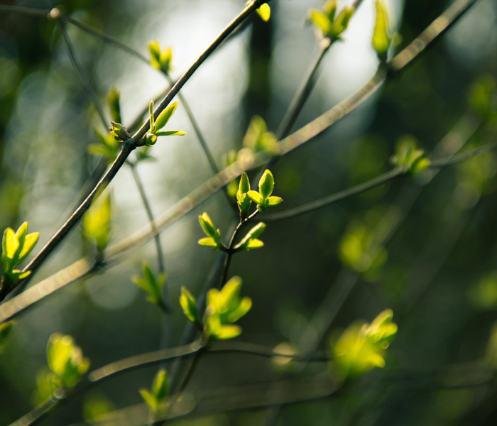 【2022年立春是几月几号几点几分春是几月几号/2022 年立春是几月几号】 【2022年立春是几月几号几点几分春是几月几号/2022 年立春是几月几号】