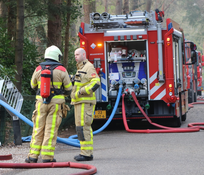 青岛救援队都是免费的吗(青岛有救助站吗) 青岛救援队都是免费的吗(青岛有救助站吗)
