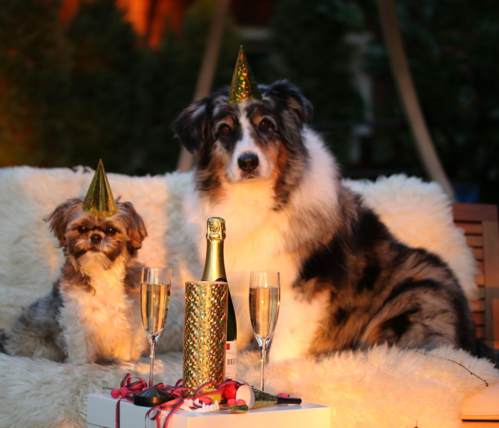 秒懂教程“皇豪互娱在哪里买房卡”获取房卡教程-哔哩哔哩 秒懂教程“皇豪互娱在哪里买房卡”获取房卡教程-哔哩哔哩