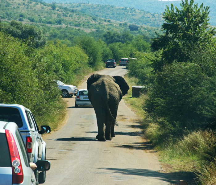 【北京道路限行是什么意思/给我说一下北京道路限行】 【北京道路限行是什么意思/给我说一下北京道路限行】
