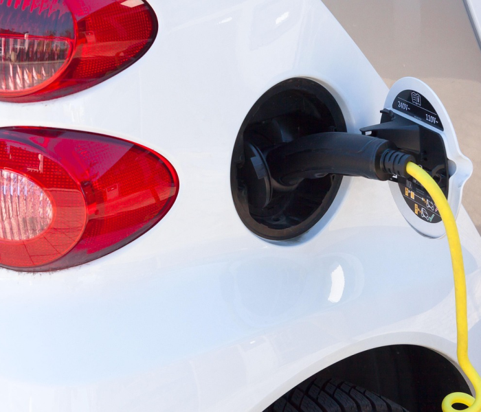 七月出省需要核酸检测报告吗(7月出省需要隔离吗) 七月出省需要核酸检测报告吗(7月出省需要隔离吗)