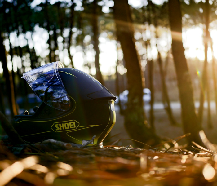 济南大雪图片:济南大雪图片实拍