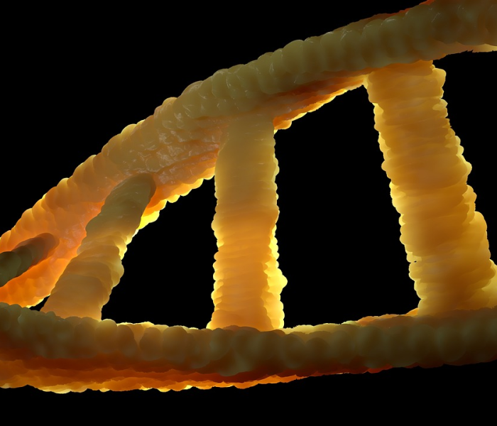 得了新冠肺炎最快多长时间可以治愈/得了新冠肺炎多久会好