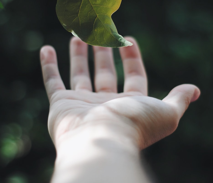 【毒株图片,毒株是什么意思?】 【毒株图片,毒株是什么意思?】