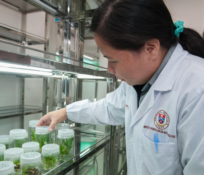 北京大兴核算检测/大兴核酸检 北京大兴核算检测/大兴核酸检