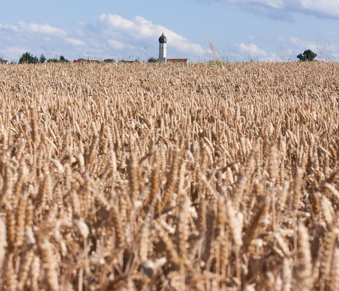 农村返乡者需14天居家监测从什么时候开始:返乡需14天居家监测 放假7天 农村返乡者需14天居家监测从什么时候开始:返乡需14天居家监测 放假7天