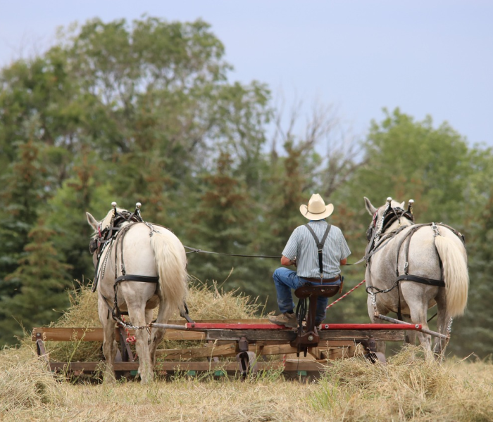 农村返乡者需14天居家监测从什么时候开始:返乡需14天居家监测 放假7天 农村返乡者需14天居家监测从什么时候开始:返乡需14天居家监测 放假7天