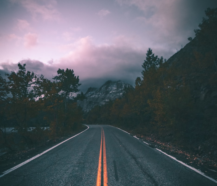 今日南京新闻早高峰穿山甲的报道:南京穿山甲科技有限公司