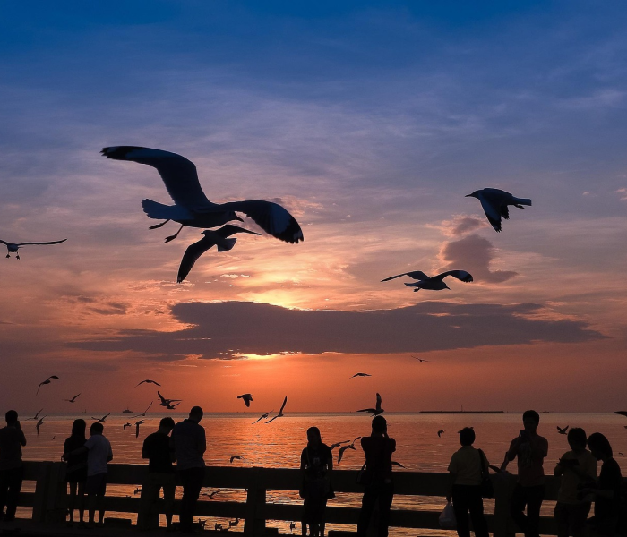 【今天疫情最新动态/今天疫情速报最新】 【今天疫情最新动态/今天疫情速报最新】