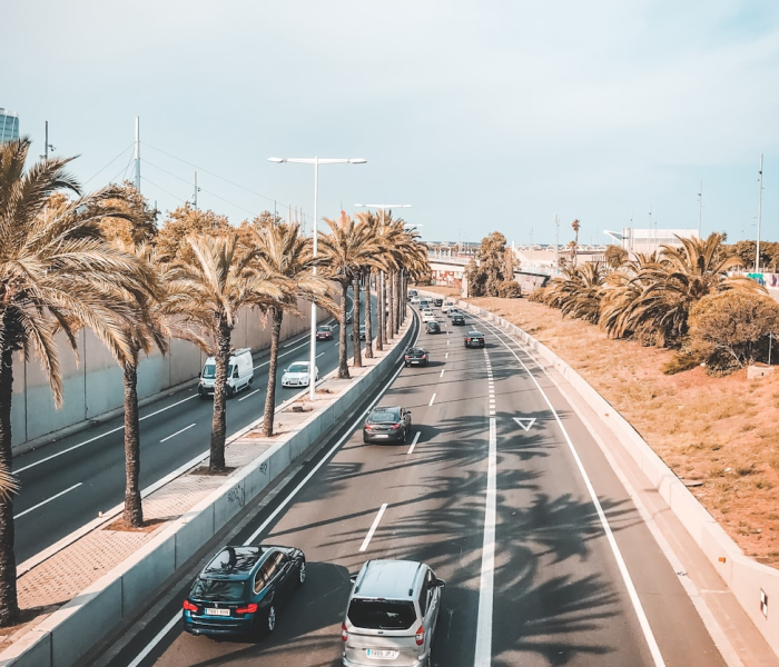 南京为什么向湖北道歉(南京为什么呢) 南京为什么向湖北道歉(南京为什么呢)