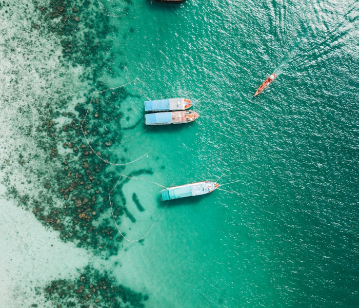 房卡必备教程“微信群牛牛房卡哪里购买”房卡获取方式