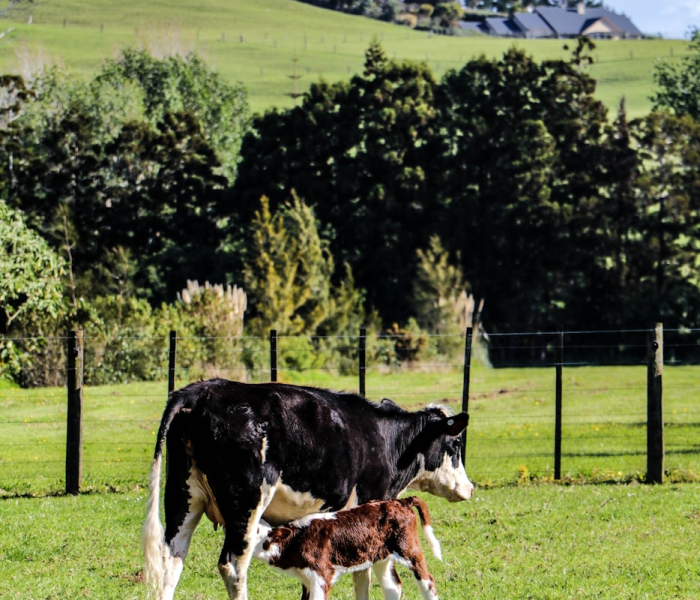 【苏d牌照是哪个城市区号/苏d牌照是哪里的】 【苏d牌照是哪个城市区号/苏d牌照是哪里的】