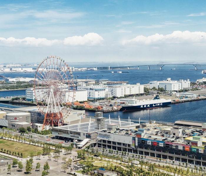 白云区新冠/白云区新冠感染