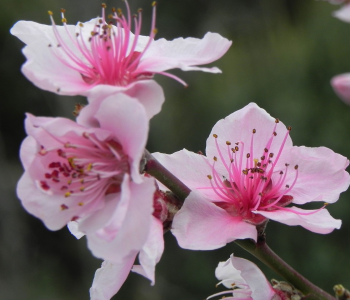 2021年十一高速免费到几号/十一高速免费从几号开始