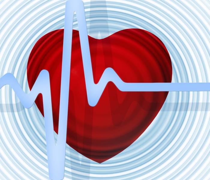 津心办app健康码在哪里找到/津心办app怎么办健康码