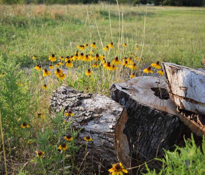 四川五一放几天假/四川五一热吗 四川五一放几天假/四川五一热吗