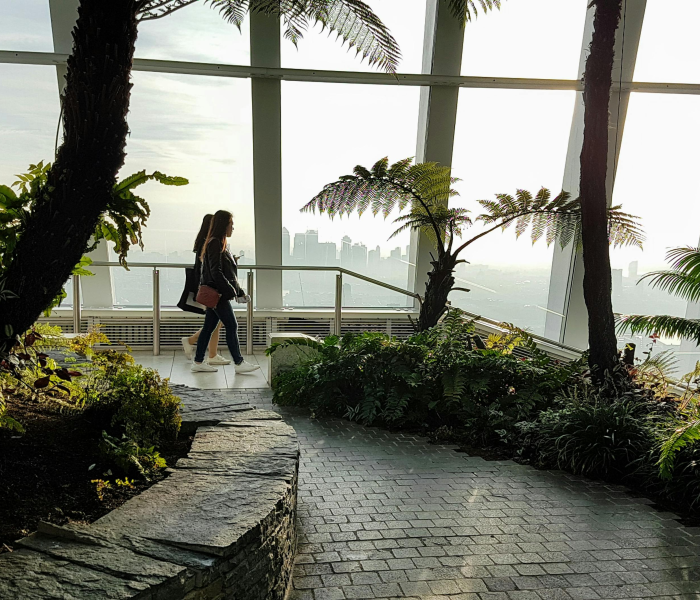 【上海2020年死亡率/上海每年死亡率】