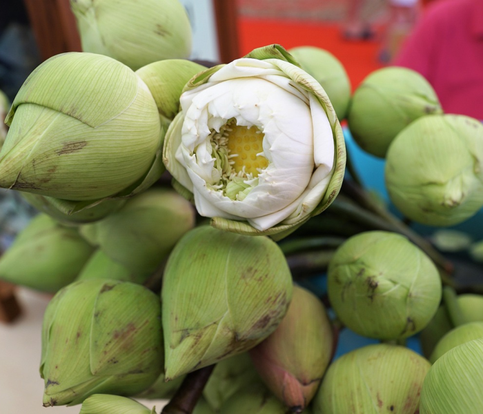 华南海鲜市场法人/华南海鲜市场老板背景 华南海鲜市场法人/华南海鲜市场老板背景