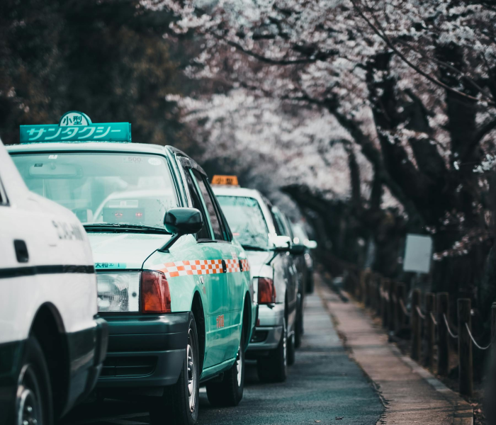 浙江交通网车辆违章查询/浙江交通网车辆违章查询系统 浙江交通网车辆违章查询/浙江交通网车辆违章查询系统