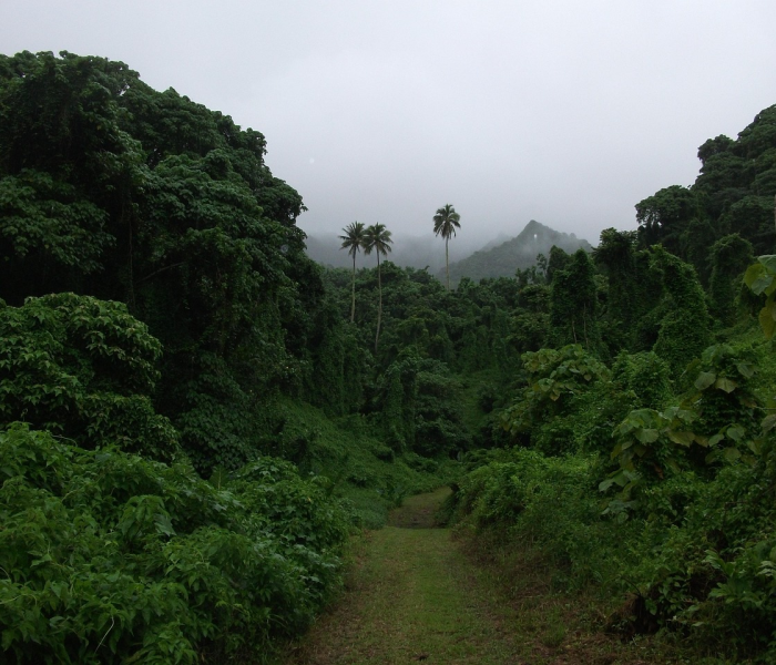 北京现在能去旅游吗/北京现在能去旅游吗最新消息