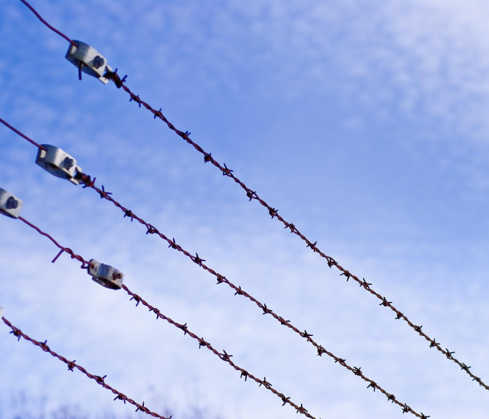 【上海每年死亡人口/上海每年的死亡人数】