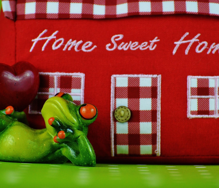 房卡必备教程“在哪里买炸 金花房卡便宜又好玩”详细房卡怎么购买教程 房卡必备教程“在哪里买炸 金花房卡便宜又好玩”详细房卡怎么购买教程